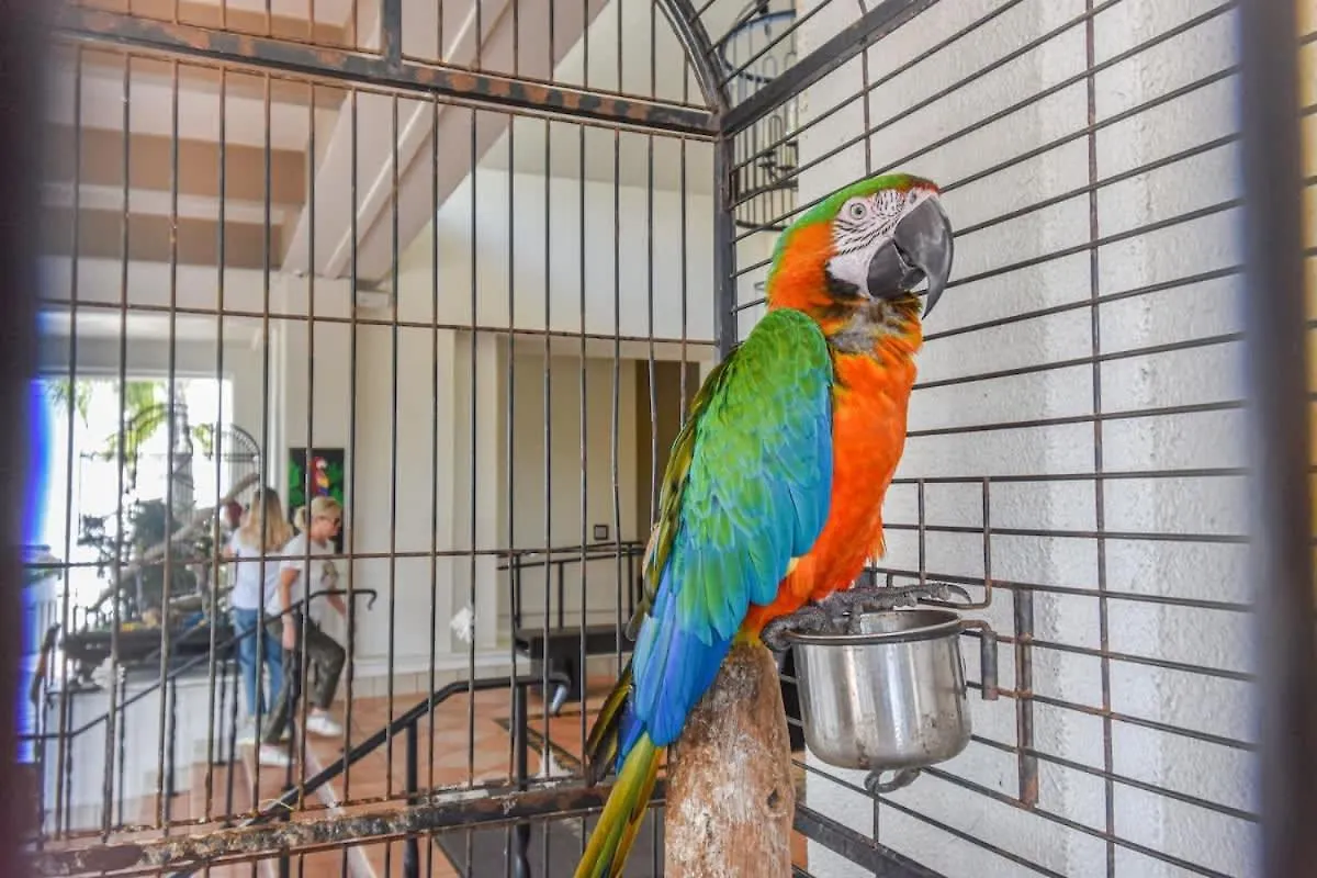 Experience Margaritaville Golf And Shopping Rio Grande 0*,